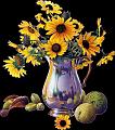 fleurs et nature (32)